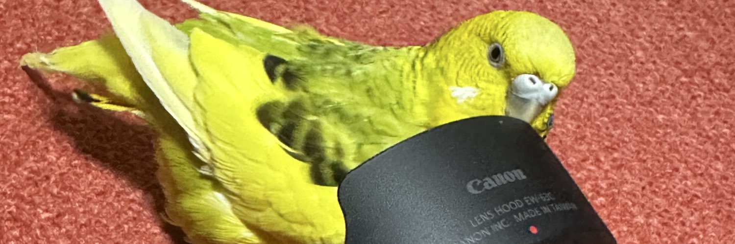 トリさん（彩） banner