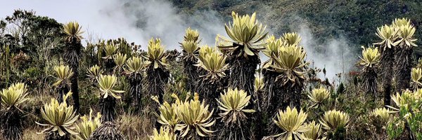EASenkosky Profile Banner