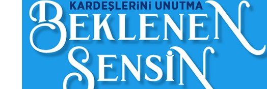 Arif Ercan banner