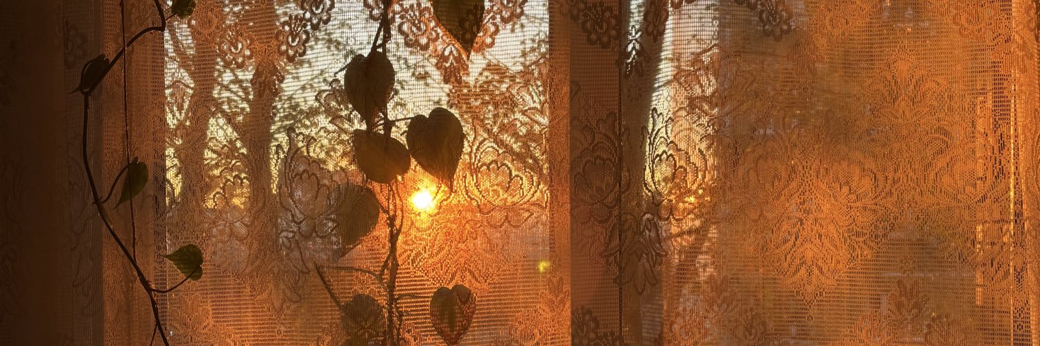 манул 🌙 banner