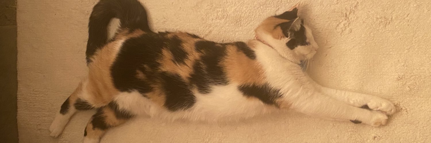 Professor Brian Oblivion banner