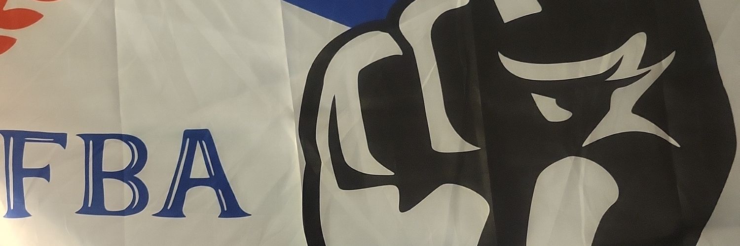 MelSelecta banner