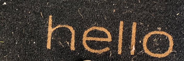 AnneServitto Profile Banner