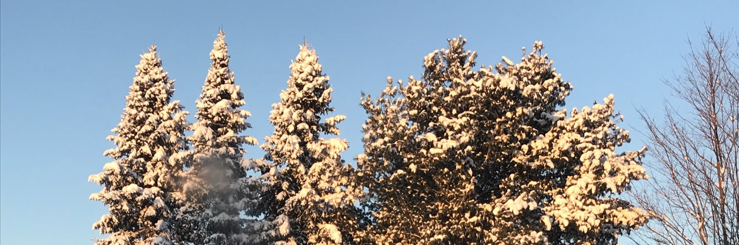 Barbara Nolan banner