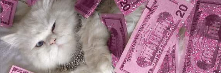 thephillonlu's profile banner image