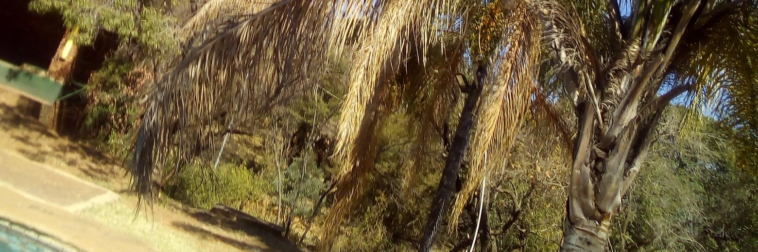 DeneoJMathibe's profile banner image