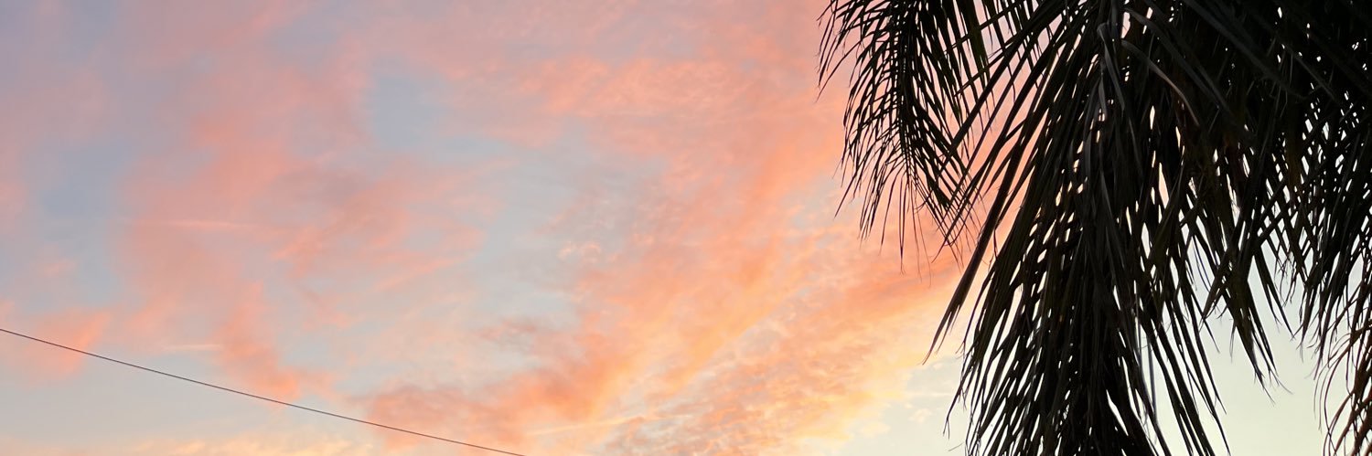 AliBerkel's profile banner image