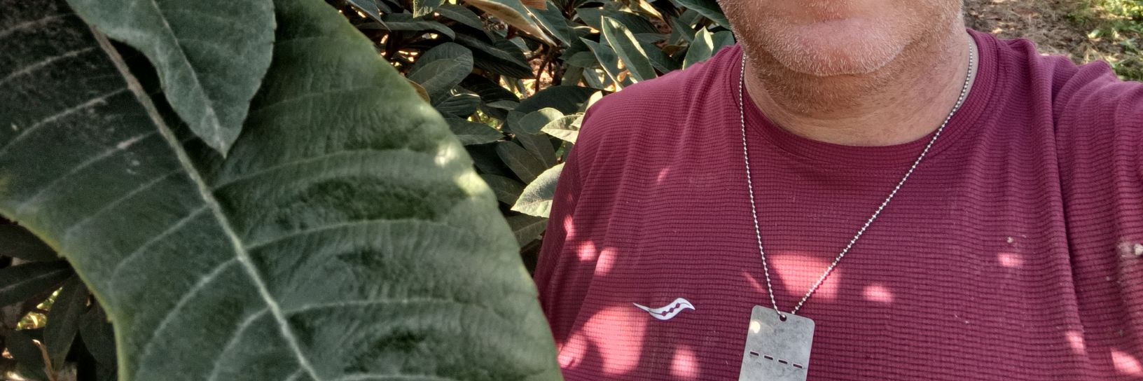 shimf's profile banner image