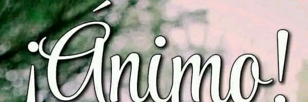 lilikitty1's profile banner image