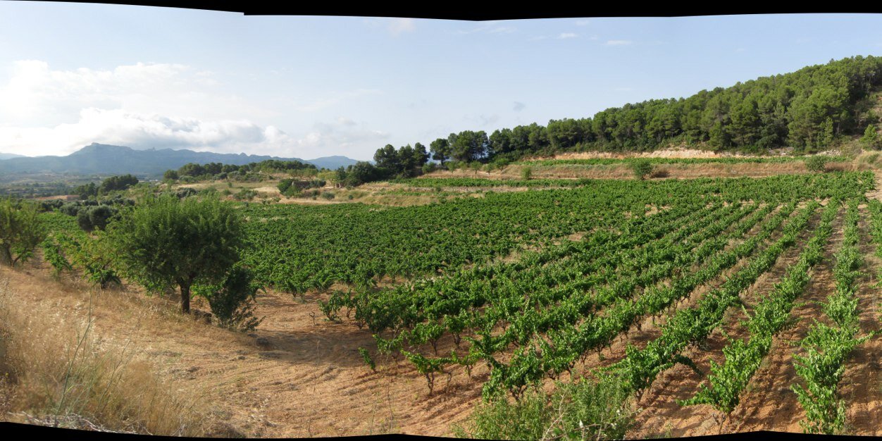 Andy McLeod 🏴󠁧󠁢󠁳󠁣󠁴󠁿🇪🇸🍷 banner