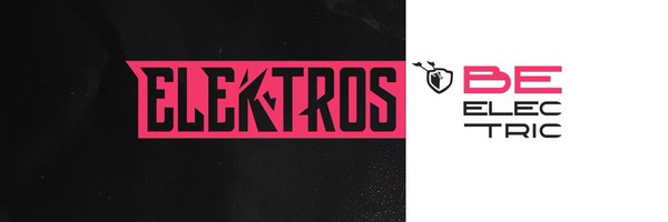 TeamElektros Profile Banner