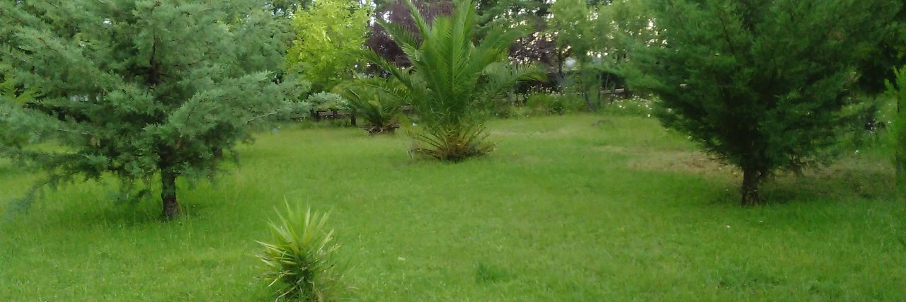OscarDemuru's profile banner image