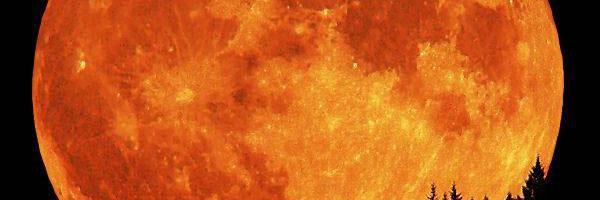 alnwrss2013's profile banner image