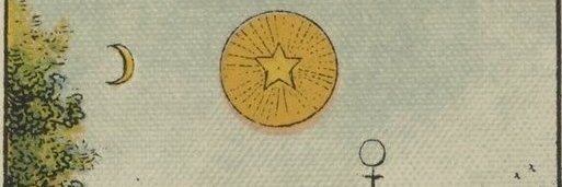 Sarah, clinical herbalist 🌿 banner