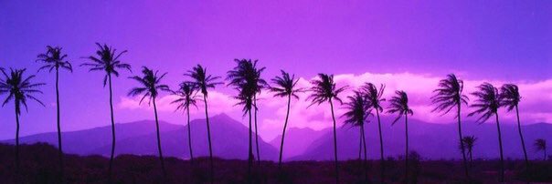 ぐびこ banner