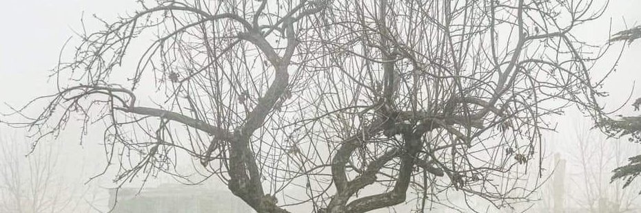 HelinLinn's profile banner image
