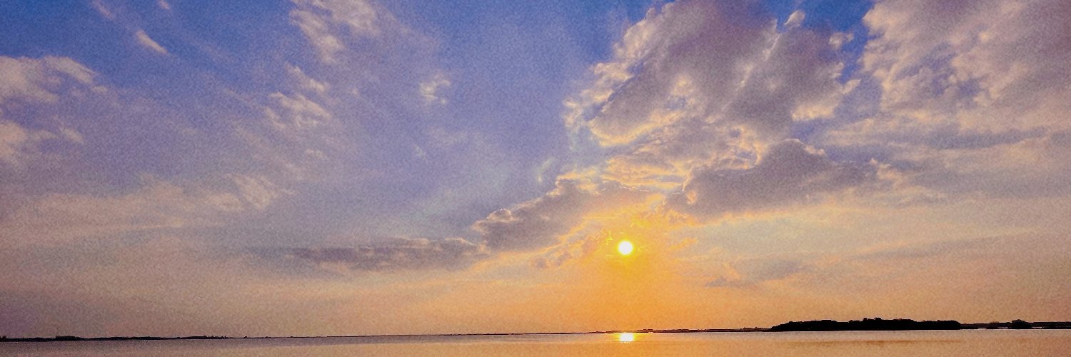 chenqihui6's profile banner image