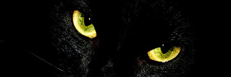 Caro_VQ's profile banner image