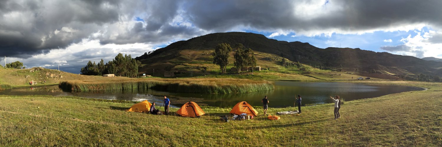 Ricardo Canepa banner