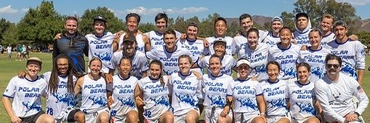 Polar Bears Ultimate banner