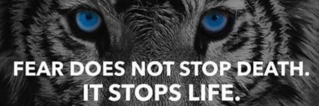 Eagleeye509's profile banner image
