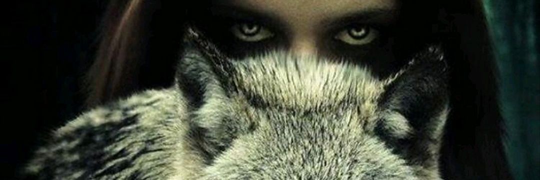The Lycan 🌳 banner