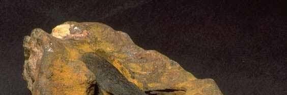drmrwn's profile banner image