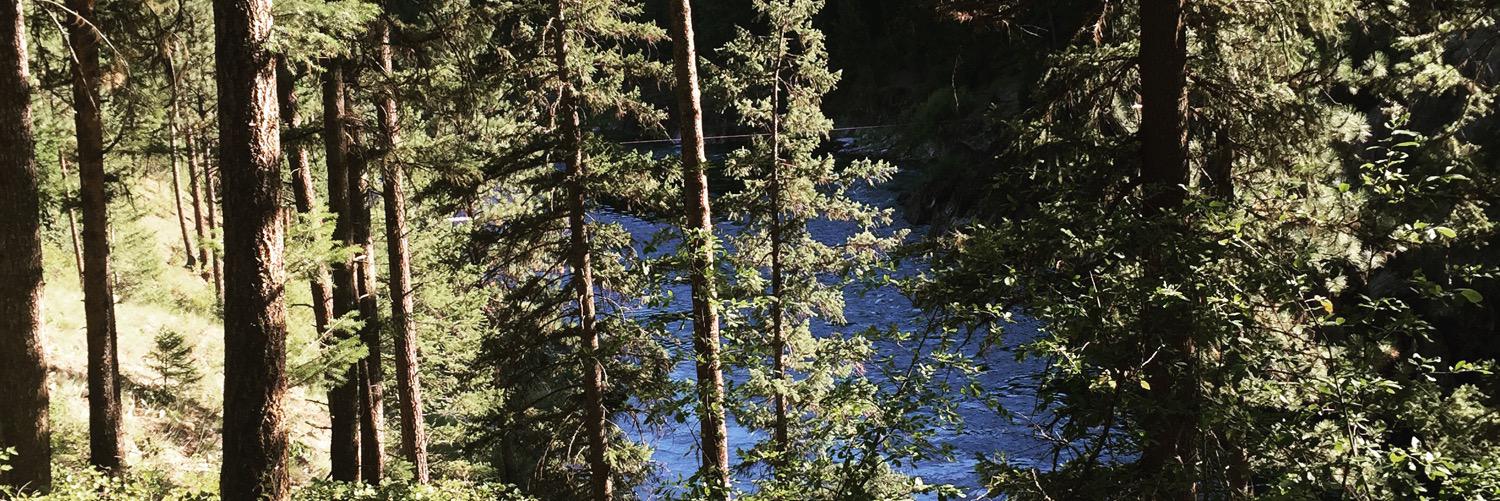 hannahjobean's profile banner image