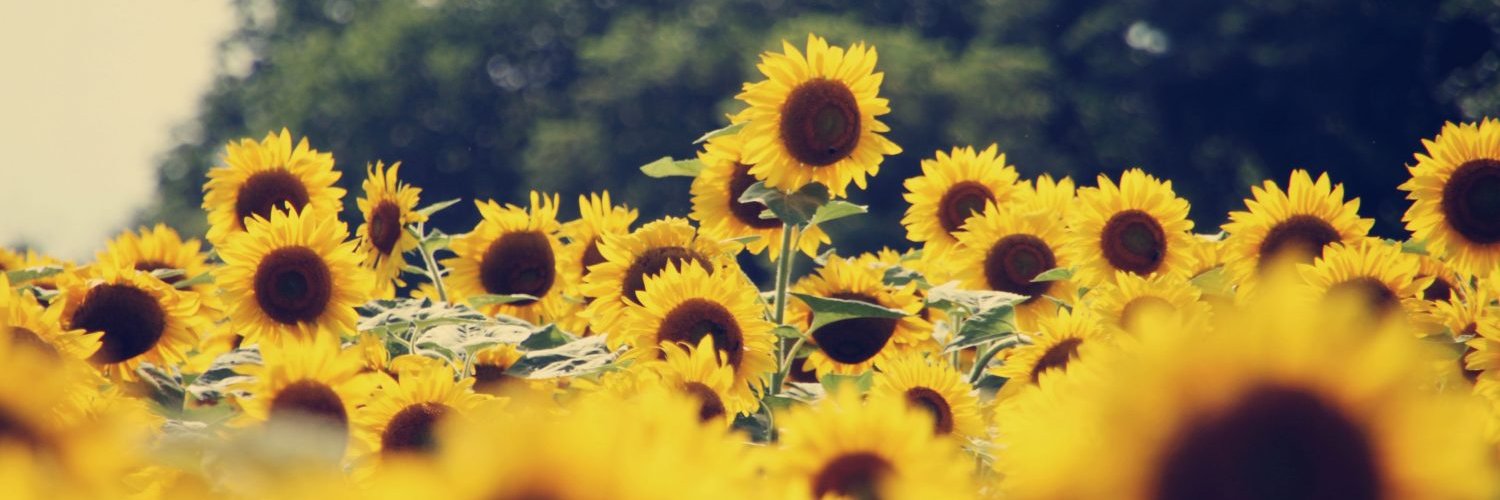 bulekdinda's profile banner image