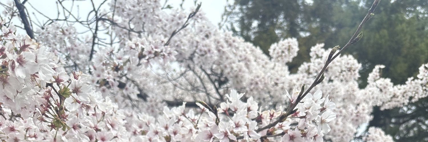 Noona_Nui's profile banner image