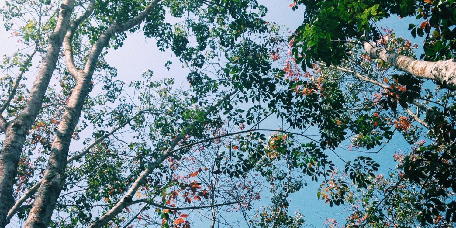 PrettyDawnStore's profile banner image