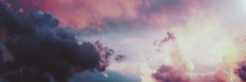 özlem tolu banner