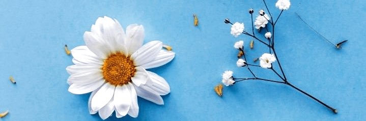 J Go banner