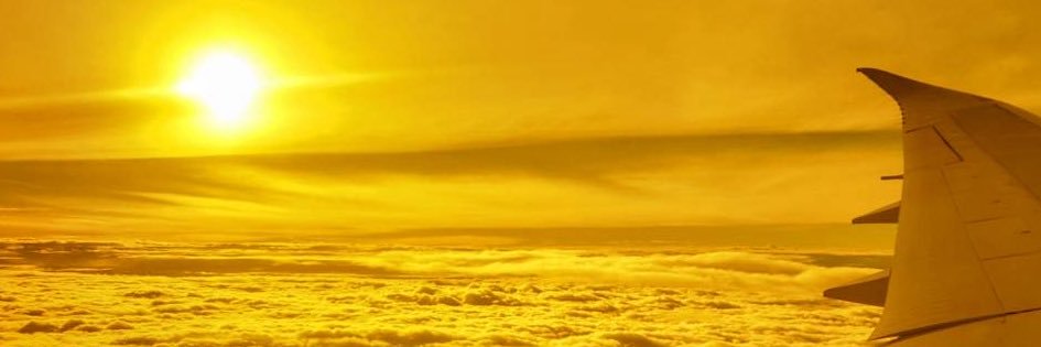 チャム🐘🌾 banner