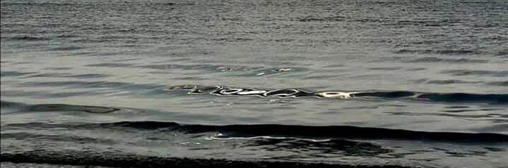 epursimu0ve's profile banner image