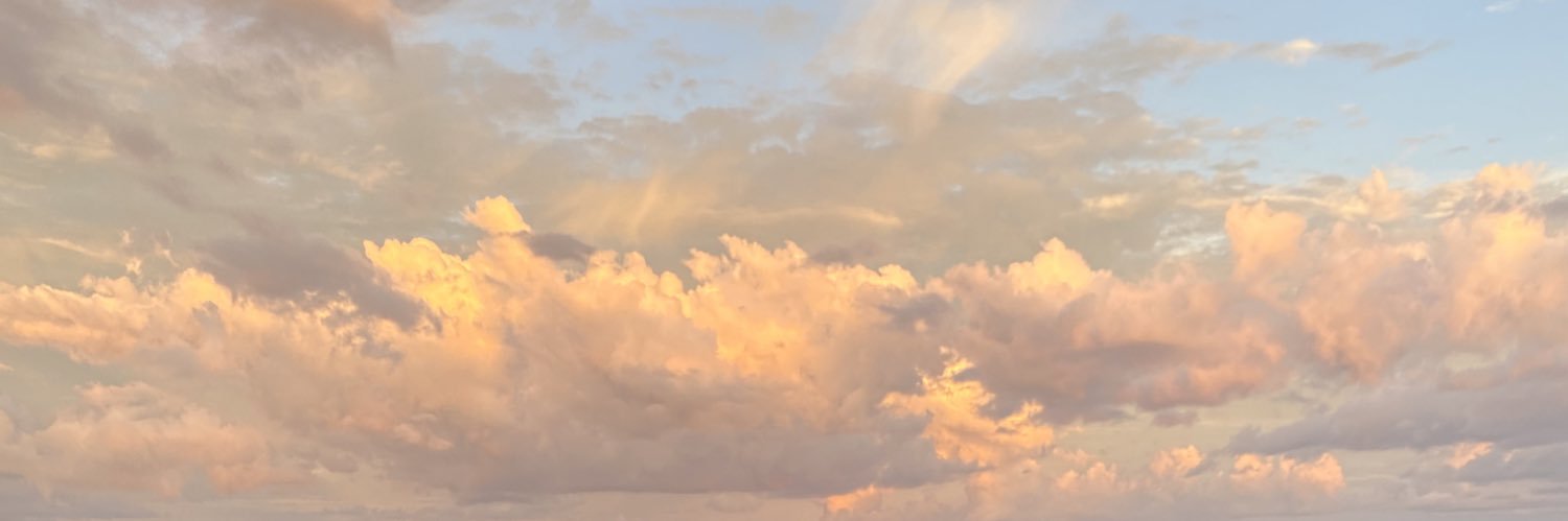 PatriceVitor's profile banner image
