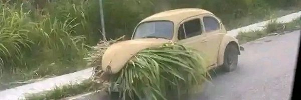 Kamau266 Profile Banner