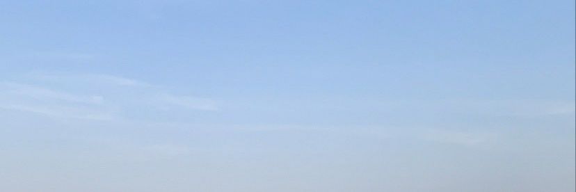 babybear banner