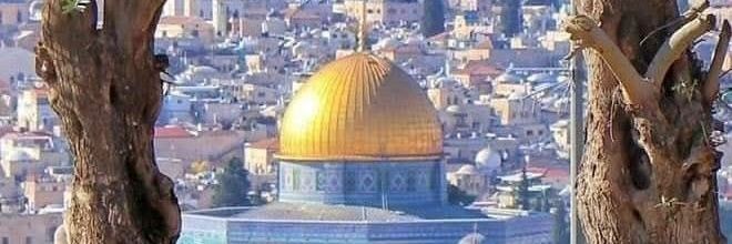 🇿🇦Mystique🇵🇸🔻 banner