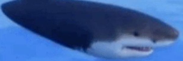 VixTheStupid Profile Banner