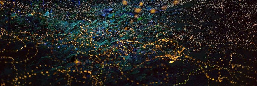 FairvaleHS Old Bini banner