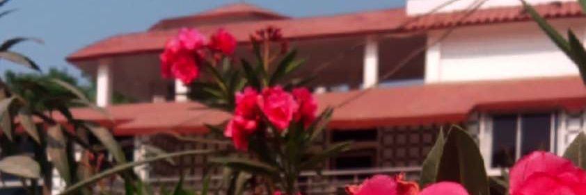 Dr. Anu Rajput banner