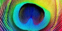 panjiedwi's profile banner image