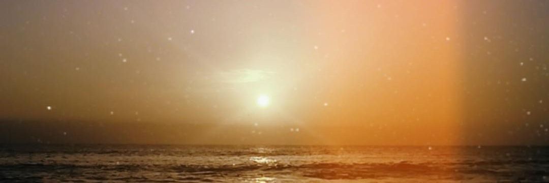 Elena🇮🇨💛 banner