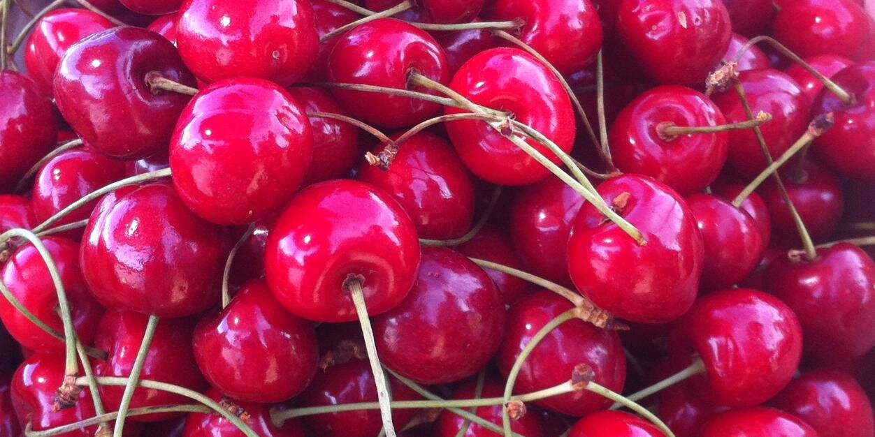 Eva Fariña Couselo banner