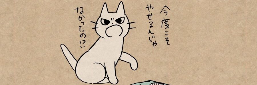ziongu's profile banner image