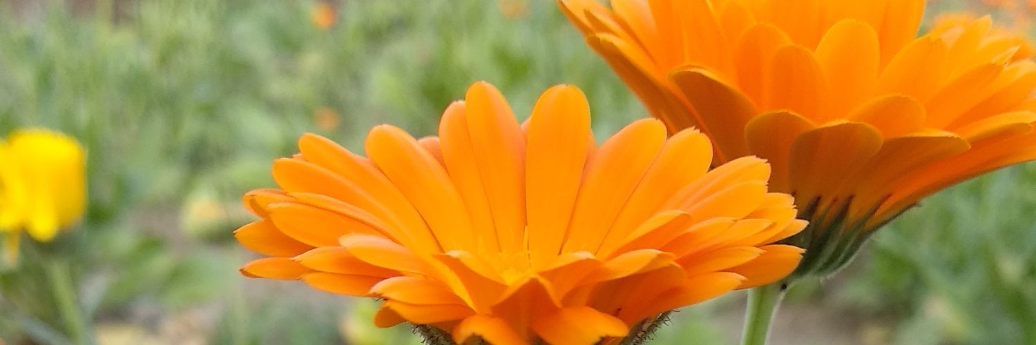 JitendraArjun94's profile banner image