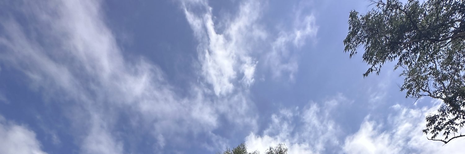 Not Anonymous banner
