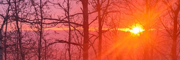 andreapagani525 Profile Banner