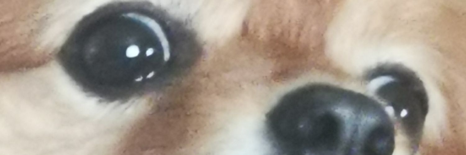 Add lawless banner